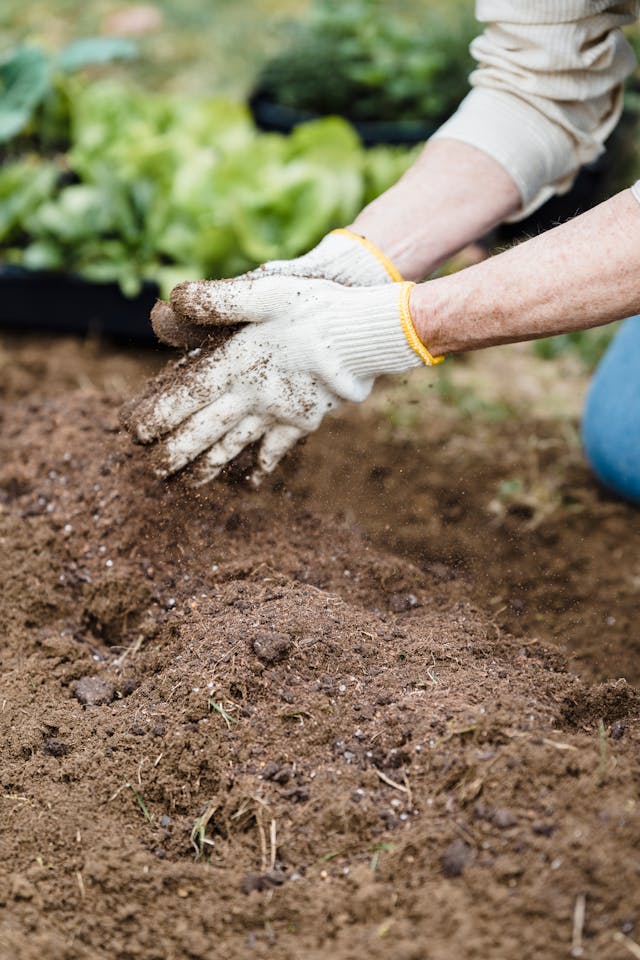 Making Coffee Ground Compost